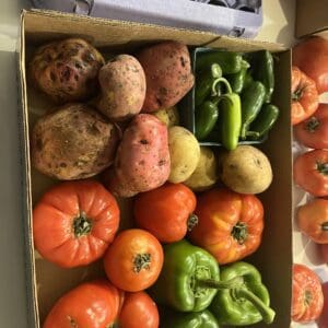 0LB Produce Variety Box