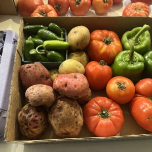 0LB Produce Variety Box