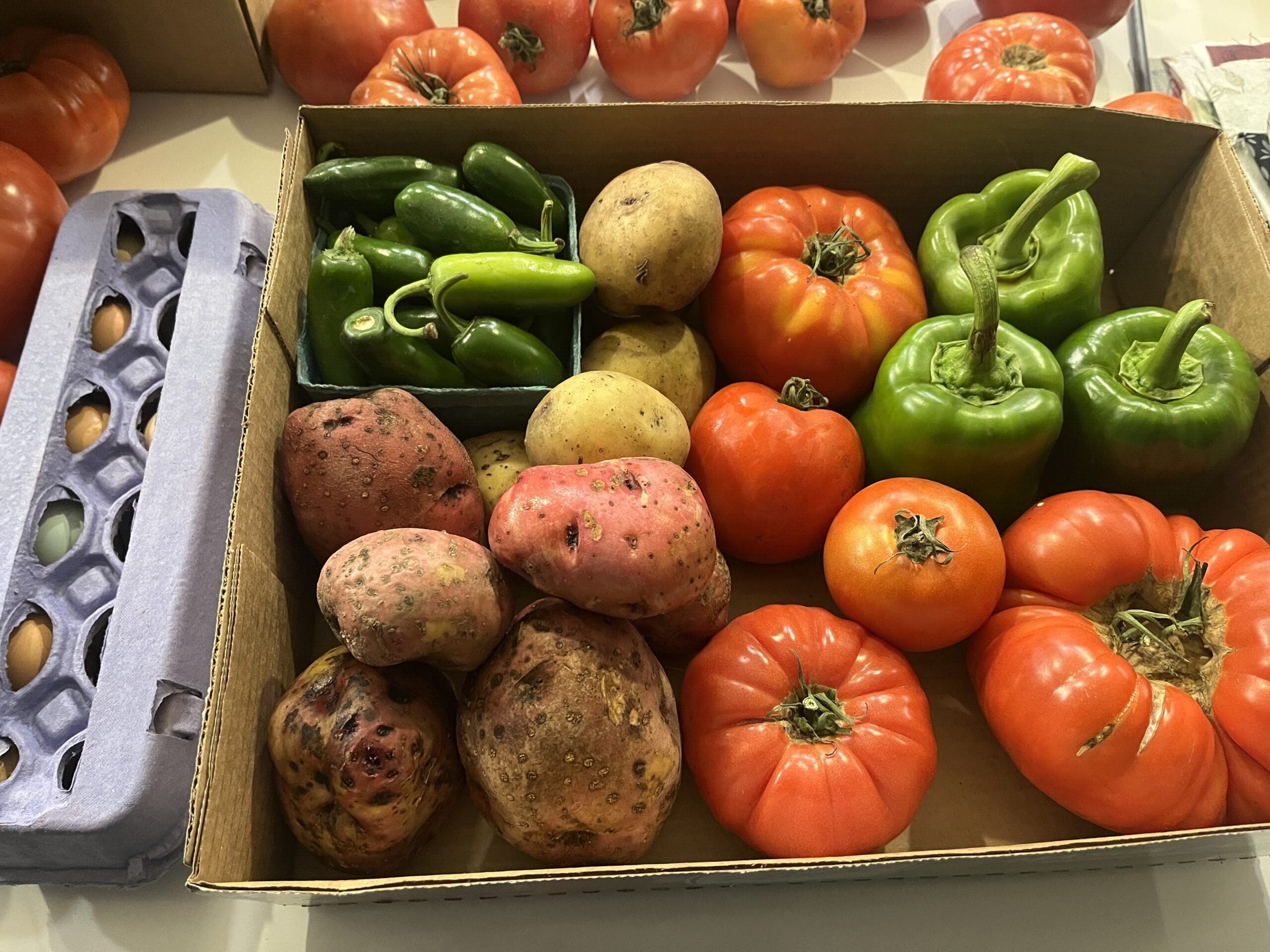 0LB Produce Variety Box