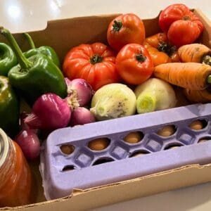 Grow Zone cardboard box of fresh produce and vegetables including peppers, onions, tomatoes, carrots, and eggs
