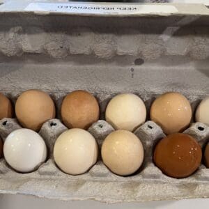 1 Dozen Farm Fresh Chicken Eggs