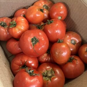10lb Box Sauce Tomatoes