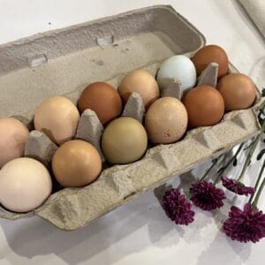 1 Dozen Farm Fresh Medium Chicken Eggs