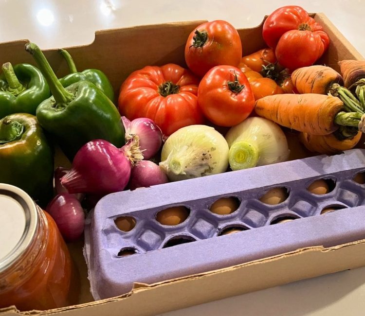 Grow Zone cardboard box of fresh produce and vegetables including peppers, onions, tomatoes, carrots, and eggs